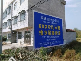 双峰墙体广告质量分析