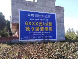 双峰品牌公司青睐的墙体广告