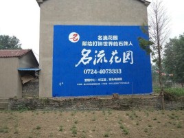 双峰农村墙体广告的长尾效应