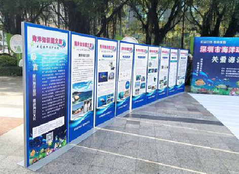 双峰KT板的种类和知识。